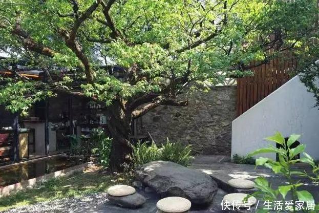  家里种|门前种3种树，家兴富三代，种错了，坏处多