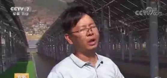  「鱼塘」一天打鱼5万斤！这片光伏鱼塘，养殖量是普通鱼塘的十倍