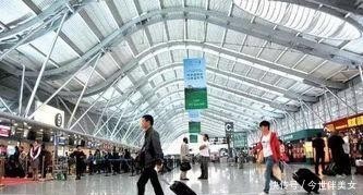 同样是出门旅游，为啥中国人喜欢拖箱子，老外却爱背包