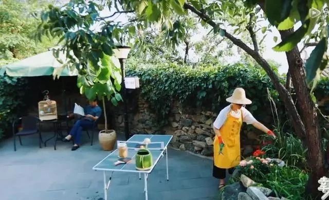 张国立和邓婕录综艺，神仙般的老年生活，尤其这3点让人羡慕邓婕