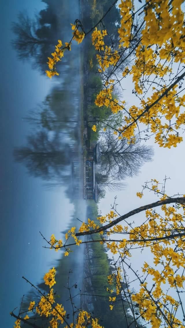  「究竟」云看花，中国美丽高等院校究竟看哪儿？
