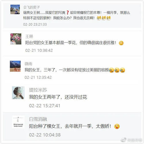 #女王#装树克星在此!你家的瑞典女王还能不开花?