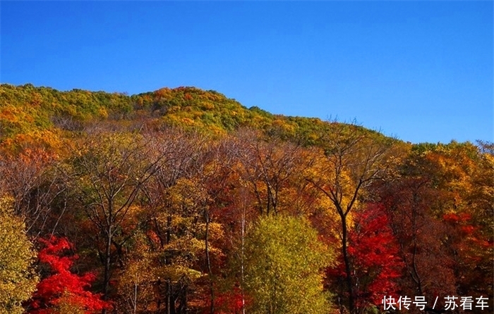 长白山最美的山谷，秋天红叶满天，保持着原始质朴的风貌