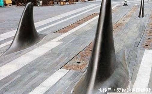 街头突然出现“鲨鱼鳍”，路人拍手称快，司机叫苦连天