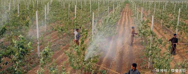  世外桃源|朝鲜有个地方, 按构想建成一个“社会主义世外桃源”,