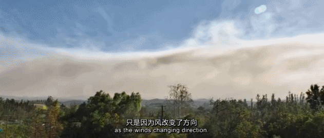  『世外桃源』豆瓣9.2，这「成人」的童话世界太疯狂