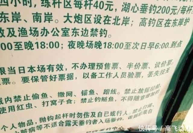 水域:鲢鳙并非稀有鱼种,为何一些水域不让钓?水库老板说出“真相”