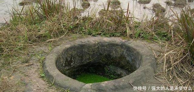 好消息农村又新增5项的补贴，基本上每位农民家庭都能领到