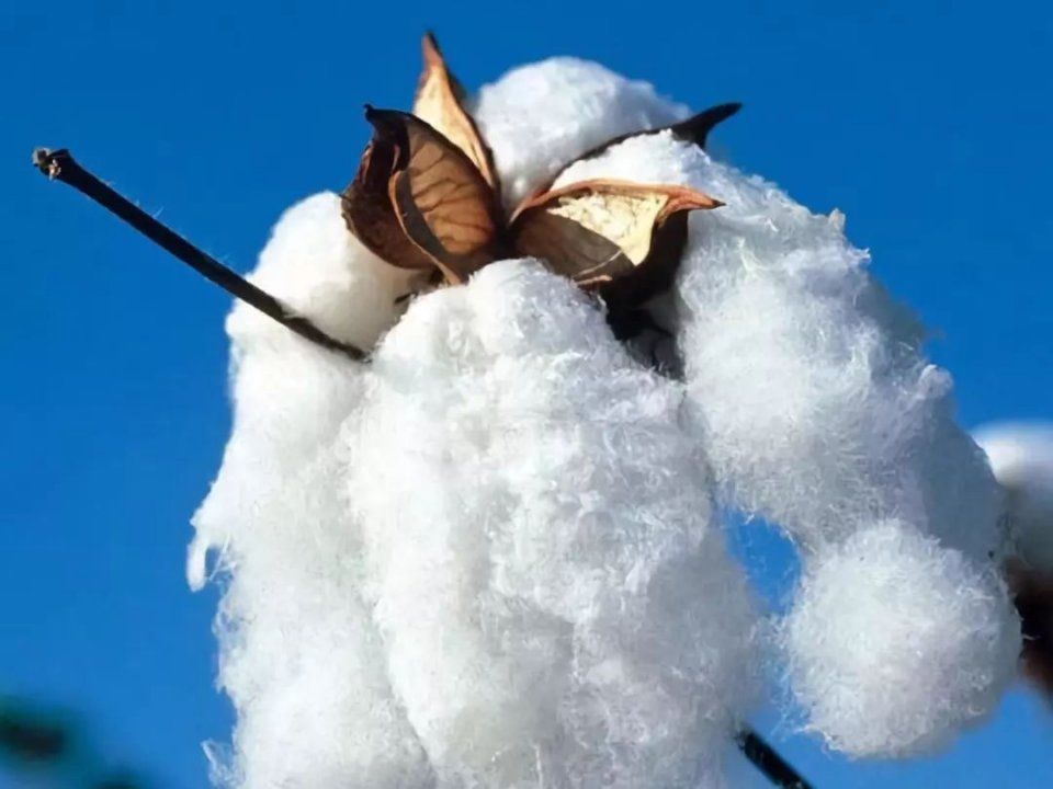 简单到极致的魔力!穿上就脱不下来的白T恤。