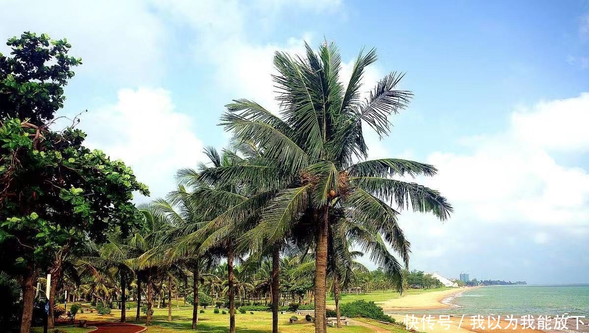 中国“单身率最高”城市！美女众多美景盛？竟是这种原因被迫单身