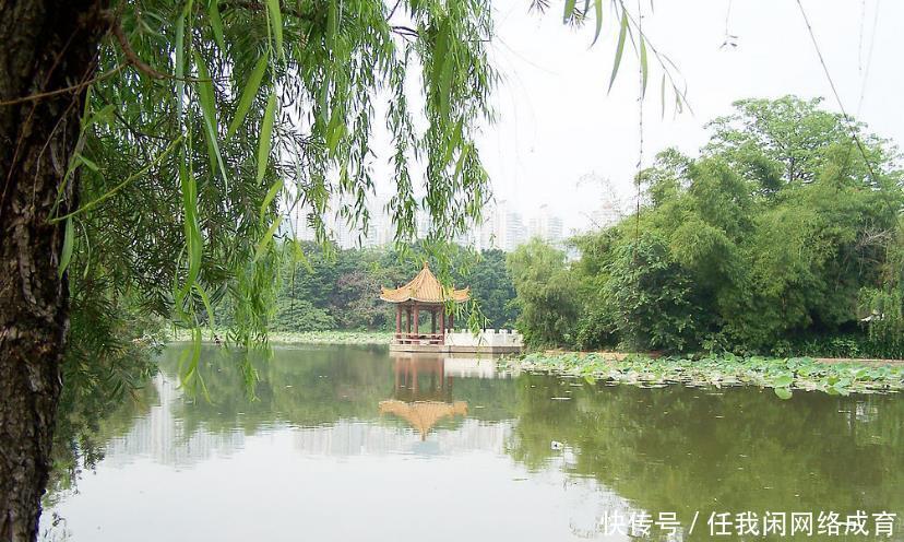  【一条】湖北这个小县城真幸运，又迎一条新高速，四车道标准建