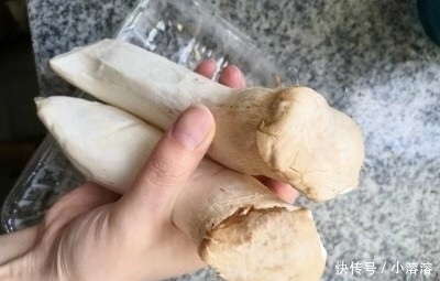 #餐桌上#买杏鲍菇时,选大的还是小的好?蔬菜贩子说漏了嘴,以后别瞎买