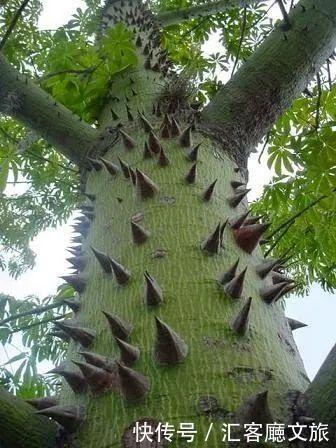 「罕见」大自然到底有多厉害?这些景象真是千年罕见!