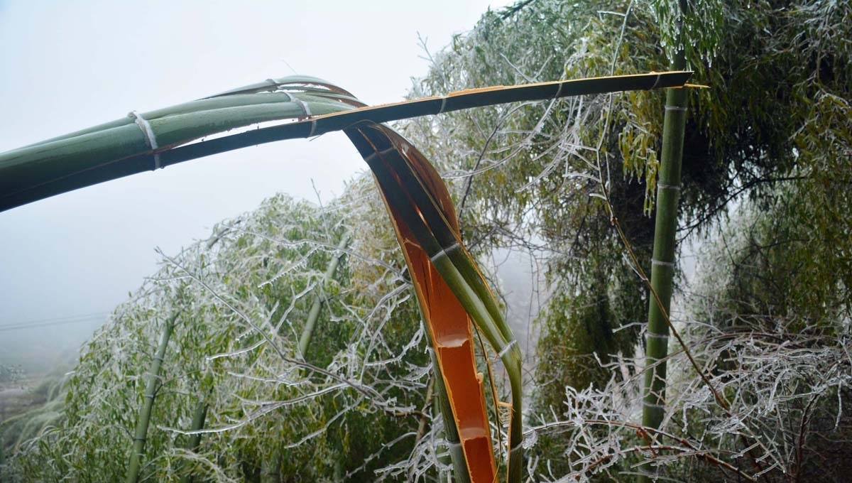 安徽安庆：北风呼呼吹，看山村“炸”成啥样