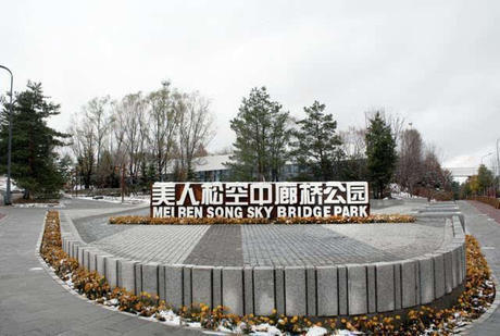 中国独有的树木！离开了长白山就无法存活，专家都觉太神奇了