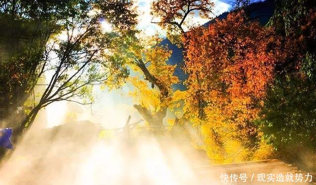 别错过秋天的林芝,景色堪比喀纳斯,最不该错过秋色童话世界