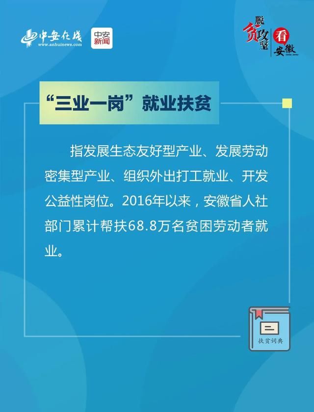  词典：涨知识！九张图带你读懂安徽“扶贫词典”