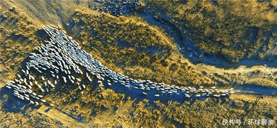  #差距#外蒙古与内蒙古牧民冬季生活的对比, 差距太大