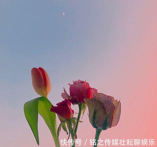 #好运#「晚安」再等等,花都开好了,你的好运也快来了
