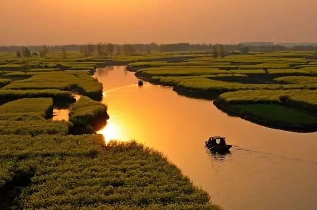 最江南的花海：惊艳不输婺源，情调不输威尼斯