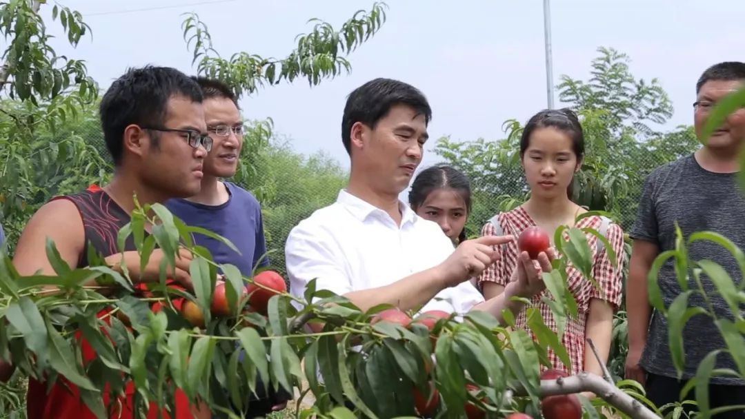 山东农业大学副校长、博士生导师高东升病逝，享年52岁