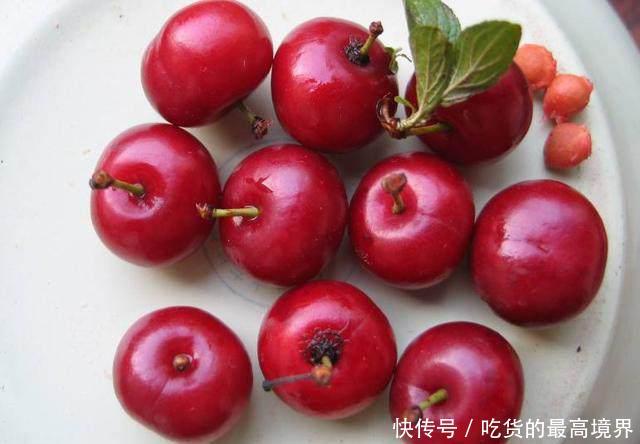  [钙果]农村这种水果，以前烂地里也没人要，如今30元一斤成稀罕