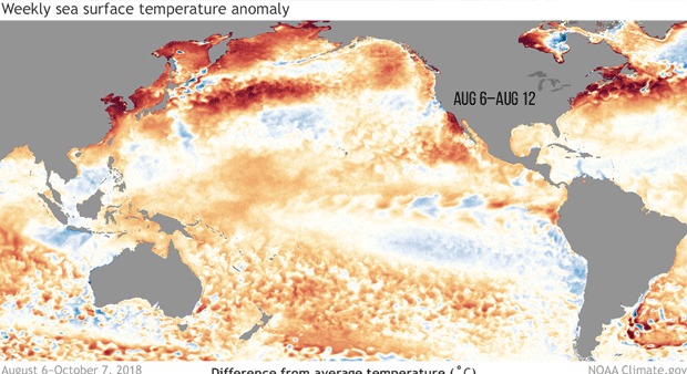 厄尔尼诺来了！专家预测75%将迎来“暖冬”，咱农村人要早早准备