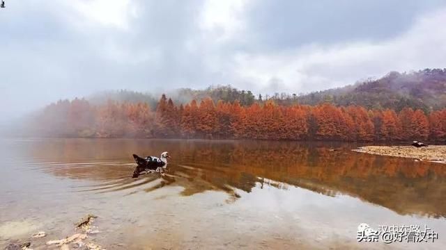 大雪过后的汉中龙池特别适合汉服摄影，不信你看