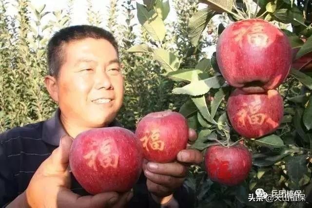 2019年农业补贴政策出炉：种植者补贴还有！