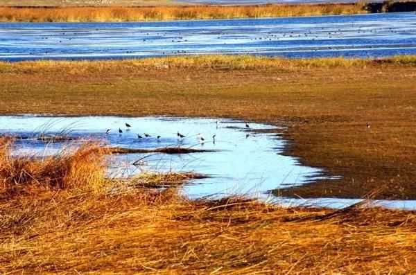 9月开始，这12个地方不可错过!