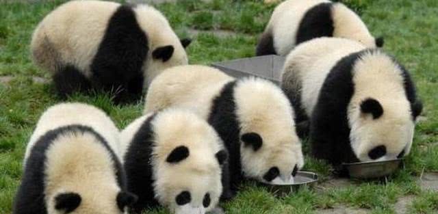 除香港澳门，中国还有一个特别行政区，默默无闻你肯定不知道！