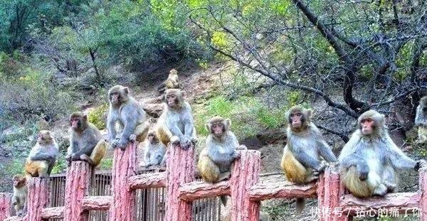 好消息！河南这个地方再添国家级金名片！全国仅6个！