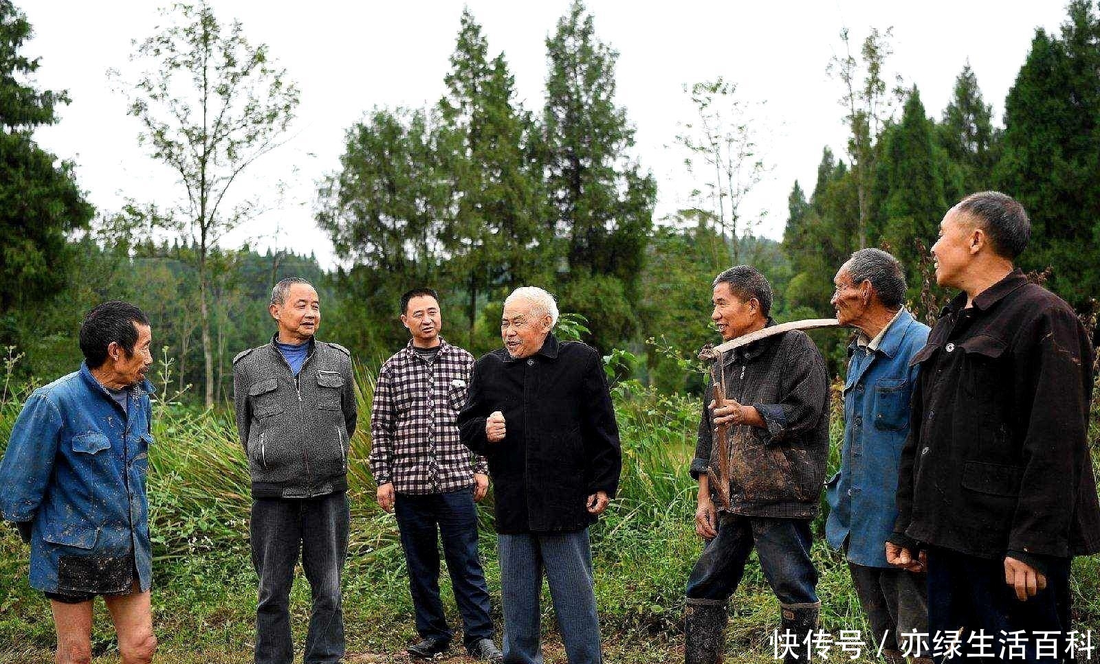 农村出现“抛荒”问题，为啥农民不愿意种地？这4个原因令人深思