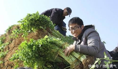 2019年农村迎来“四大喜讯”，和每个家庭相关，农民朋友赶紧了解