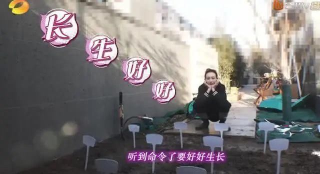  「蔬菜」明星都开始在家种菜了，你心动了吗？