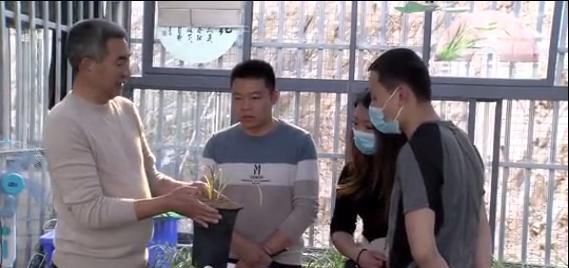  「种植」桐柏这个村家家种植兰花，花比人还多