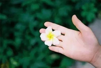  [浇死]花是浇死的，鱼是撑死的……文章不长，却很受用！