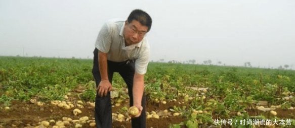 我国用30年将沙漠变成了绿洲,现“毁于”他们手中,治沙人心疼！