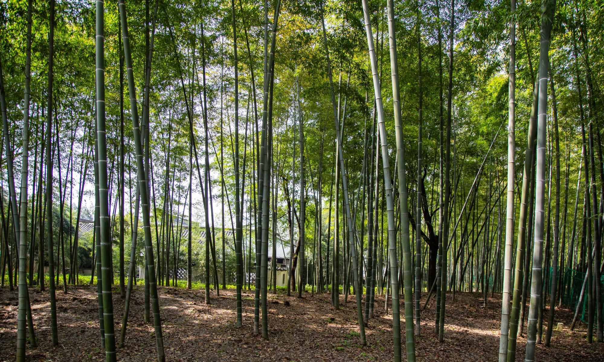 只知鲁迅故里和沈园？绍兴还有一个更无聊的景点，门票95元！