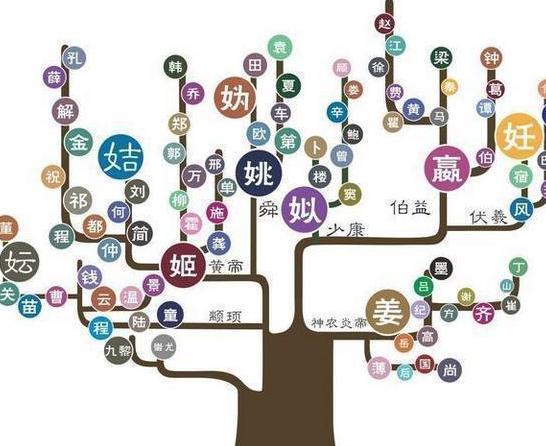 中国前300名姓氏及超千万人口大姓，31个省市内大姓分布