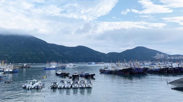 『自然』凝视自然的工具——舟山 海街11号