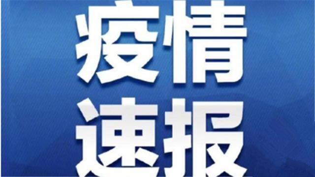  「比例」全国新冠肺炎治愈比例升至8.2% 武汉湖北治愈比例均明显