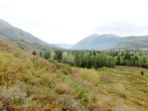  喜迎@江西即将“飞黄腾达”的城市，喜迎两条高铁，未来发展大有