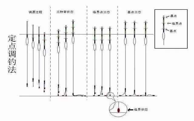  『真实』分析一下钓组调整，饵料到底后怎么做才能让每一口都是真实信号