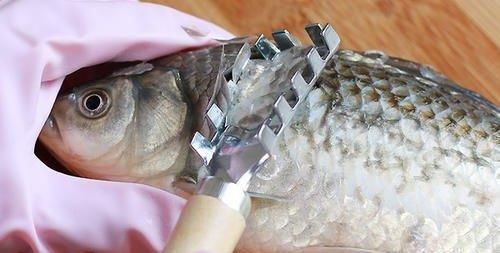 「这件」你知道鱼身上的这件“宝贝”吗?平时我们都丢掉了,实在是可惜!