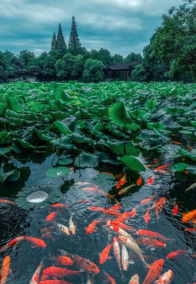 这座隐居江南的巨富之镇，繁华旧梦＋民国古宅，80％的人都错过了