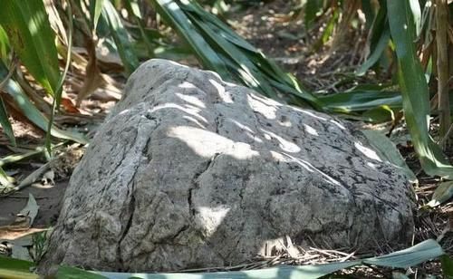 世界最小的山，海拔0.6米在当地属于最高山，在国内还禁止攀爬？