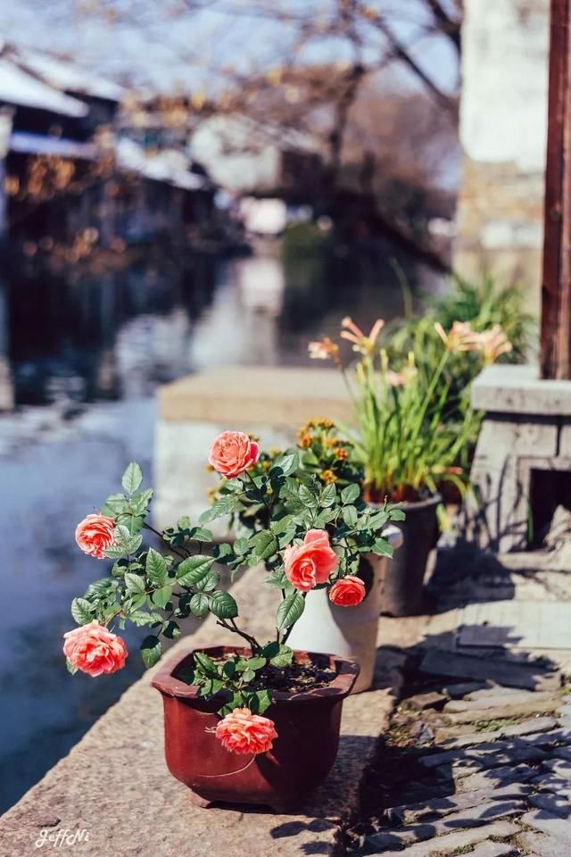 忘记乌镇、周庄吧!中国第一个世界文化遗产小镇才是最美天堂