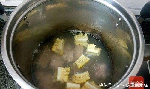 【不妨】春天湿气重,不妨用它来煲汤,健脾祛湿帮你解春困