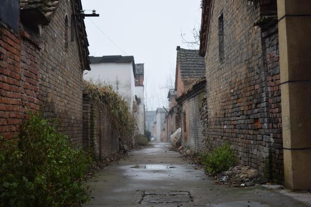 90后回到农村，看完村子之后心酸，老树老房，更让人心痛的是老人